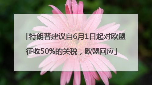 特朗普建议自6月1日起对欧盟征收50%的关税，欧盟回应
