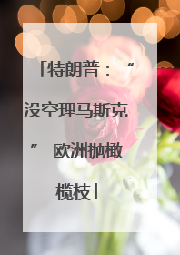 特朗普：“没空理马斯克” 欧洲抛橄榄枝