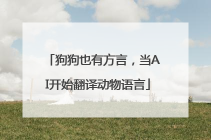 狗狗也有方言，当AI开始翻译动物语言