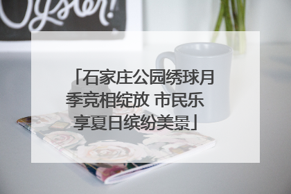 石家庄公园绣球月季竞相绽放 市民乐享夏日缤纷美景