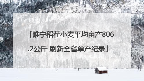 睢宁稻茬小麦平均亩产806.2公斤 刷新全省单产纪录