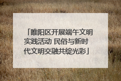 睢阳区开展端午文明实践活动 民俗与新时代文明交融共绽光彩