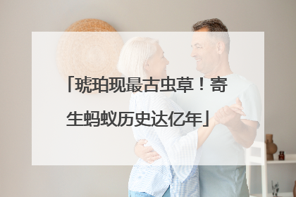 琥珀现最古虫草！寄生蚂蚁历史达亿年