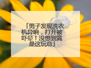 男子发现洗衣机异响，打开被吓晕！没想到竟是这玩意