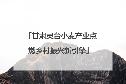 甘肃灵台小麦产业点燃乡村振兴新引擎