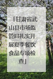 甘肃省武山县市场监管局扎实开展夏季餐饮食品专项检查