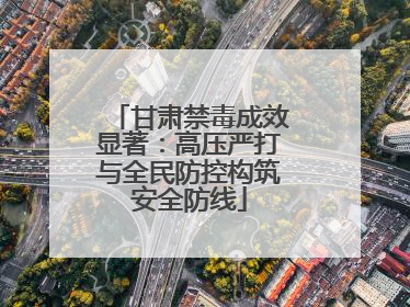 甘肃禁毒成效显著：高压严打与全民防控构筑安全防线