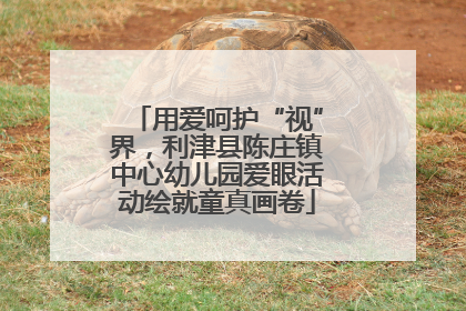 用爱呵护“视”界，利津县陈庄镇中心幼儿园爱眼活动绘就童真画卷