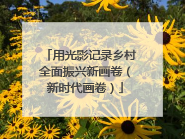 用光影记录乡村全面振兴新画卷（新时代画卷）