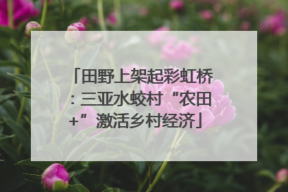 田野上架起彩虹桥：三亚水蛟村“农田+”激活乡村经济