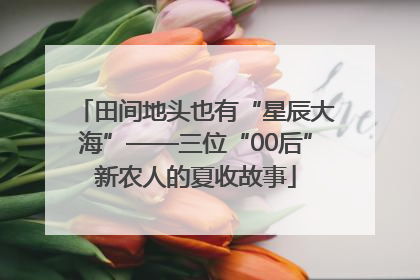 田间地头也有“星辰大海”——三位“00后”新农人的夏收故事