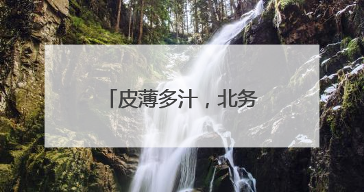 皮薄多汁，北务小西瓜熟啦！