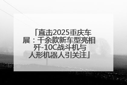 直击2025重庆车展：千余款新车型亮相 歼-10C战斗机与人形机器人引关注