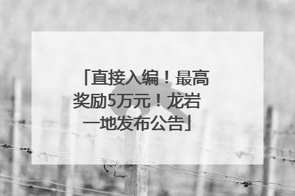 直接入编！最高奖励5万元！龙岩一地发布公告