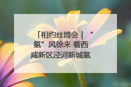 相约丝博会｜“氢”风徐来 看西咸新区泾河新城氢能产业聚链成势