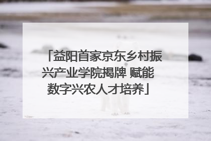 益阳首家京东乡村振兴产业学院揭牌 赋能数字兴农人才培养