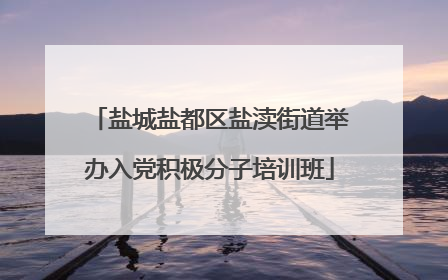 盐城盐都区盐渎街道举办入党积极分子培训班