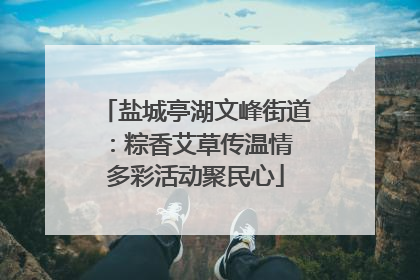 盐城亭湖文峰街道：粽香艾草传温情 多彩活动聚民心