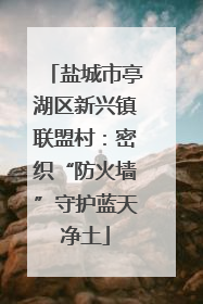 盐城市亭湖区新兴镇联盟村：密织“防火墙”守护蓝天净土