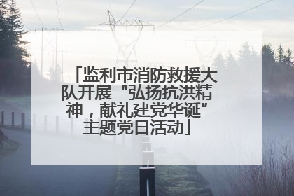 监利市消防救援大队开展“弘扬抗洪精神，献礼建党华诞”主题党日活动