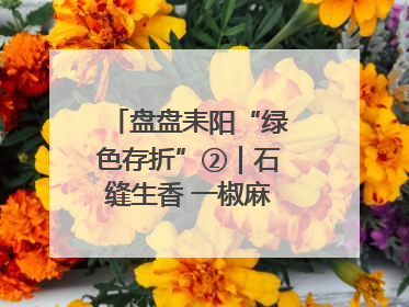 盘盘耒阳“绿色存折”②｜石缝生香 一椒麻出好“丰”景