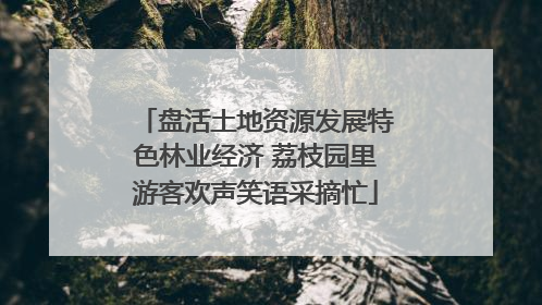盘活土地资源发展特色林业经济 荔枝园里游客欢声笑语采摘忙