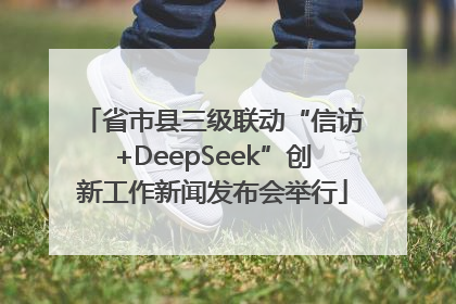 省市县三级联动“信访+DeepSeek”创新工作新闻发布会举行