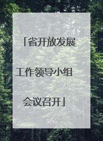 省开放发展工作领导小组会议召开