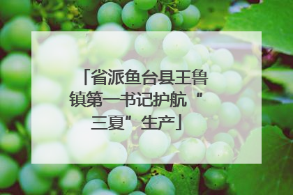 省派鱼台县王鲁镇第一书记护航“三夏”生产