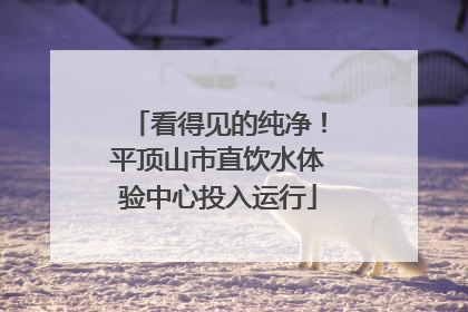 看得见的纯净！平顶山市直饮水体验中心投入运行
