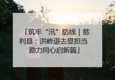 筑牢“汛”防线｜慈利县：洪峰退去显担当 勠力同心启新篇