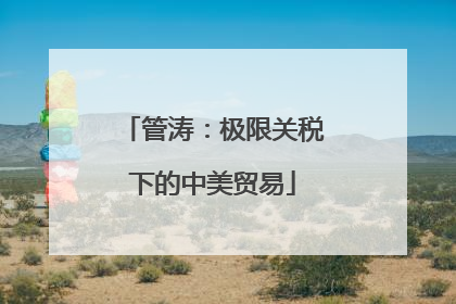 管涛：极限关税下的中美贸易