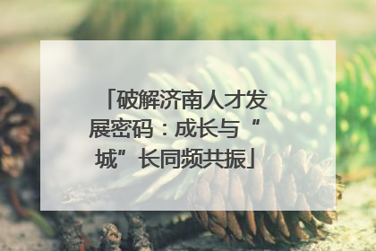 破解济南人才发展密码：成长与“城”长同频共振