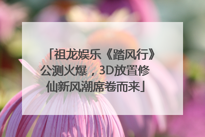 祖龙娱乐《踏风行》公测火爆，3D放置修仙新风潮席卷而来