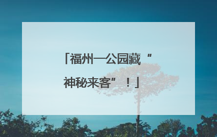福州一公园藏“神秘来客”！