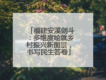 福建安溪剑斗：多维度绘就乡村振兴新图景，书写民生答卷