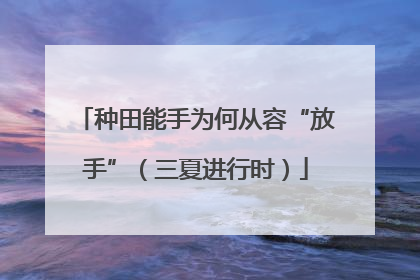 种田能手为何从容“放手”（三夏进行时）