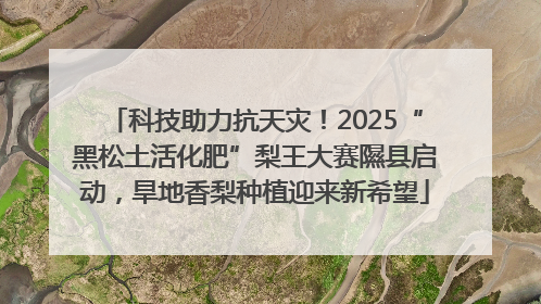 科技助力抗天灾！2025“黑松土活化肥”梨王大赛隰县启动，旱地香梨种植迎来新希望