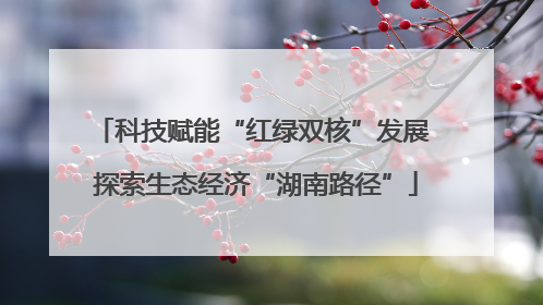 科技赋能“红绿双核”发展 探索生态经济“湖南路径”
