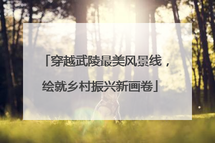 穿越武陵最美风景线，绘就乡村振兴新画卷