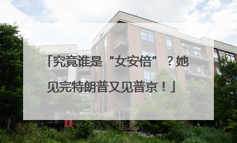 究竟谁是“女安倍”？她见完特朗普又见普京！