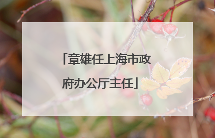章雄任上海市政府办公厅主任