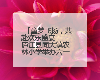 童梦飞扬，共赴欢乐盛宴——庐江县同大镇农林小学举办六一文艺汇演