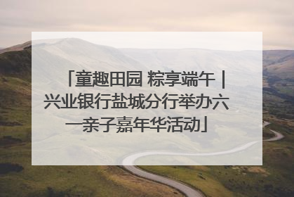 童趣田园 粽享端午｜兴业银行盐城分行举办六一亲子嘉年华活动