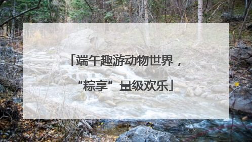 端午趣游动物世界，“粽享”量级欢乐