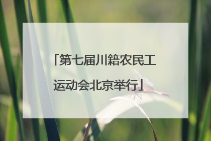 第七届川籍农民工运动会北京举行