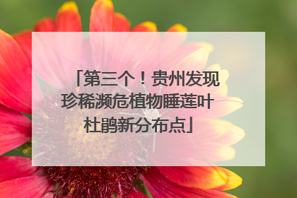 第三个！贵州发现珍稀濒危植物睡莲叶杜鹃新分布点