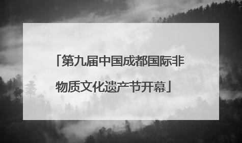 第九届中国成都国际非物质文化遗产节开幕