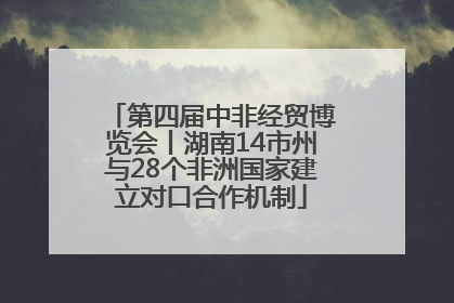 第四届中非经贸博览会丨湖南14市州与28个非洲国家建立对口合作机制