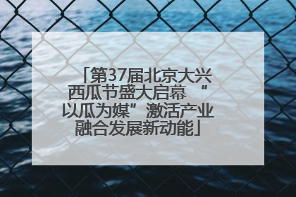 第37届北京大兴西瓜节盛大启幕 “以瓜为媒”激活产业融合发展新动能